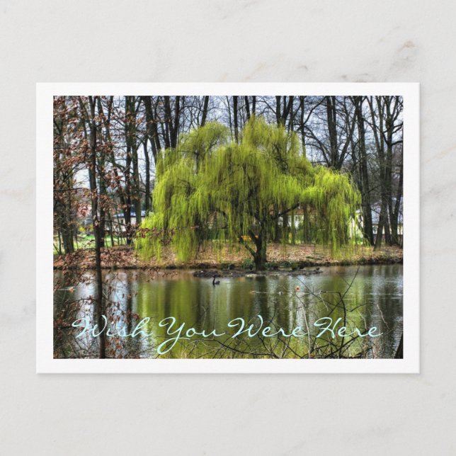 Postal Desearía Que Estuvieras Aquí (Anverso)