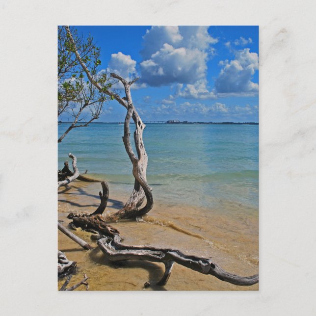 Postal Desechos a paso ciego (Anverso)