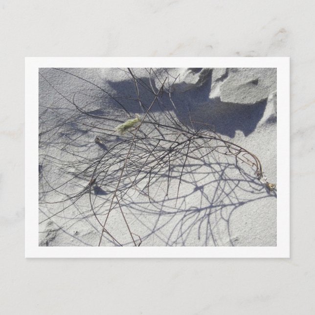 Postal desechos de playa (Anverso)