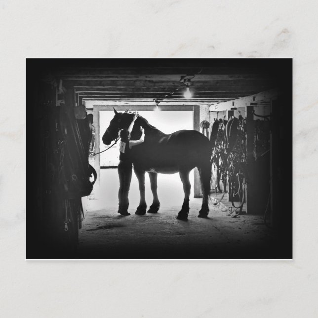 Postal Desenvolvimiento (Anverso)