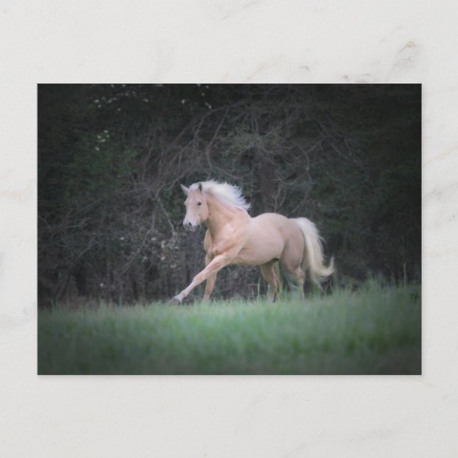 Postal Deseo fuerte (Anverso)