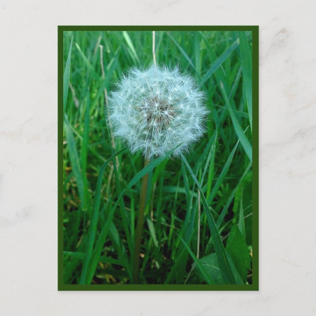 Postal Deseo Postcard (Anverso)