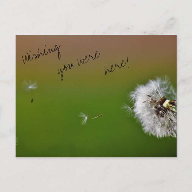 Postal Deseos (Anverso)