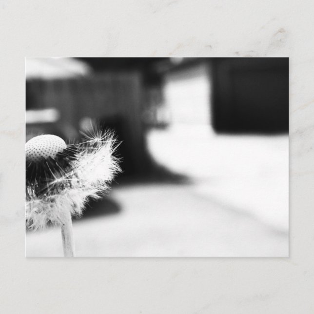 Postal Deseos 2 (Anverso)