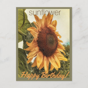 Postal Deseos de cumpleaños soleados Postcard