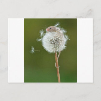 Postal Deseos del ratón