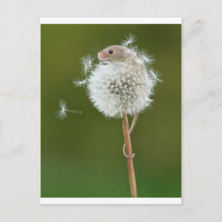 Postal Deseos del ratón