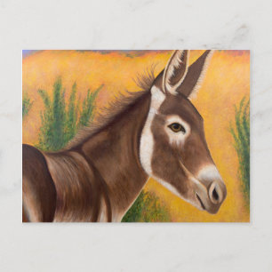 Postal Desert Burro