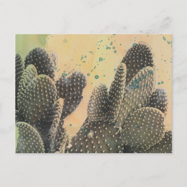 Postal Desert Cactus | Placa verde (Anverso)
