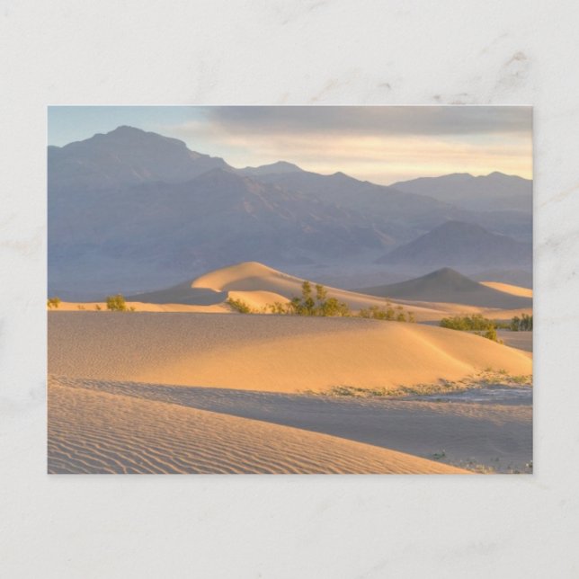 Postal Desert Dawn (Anverso)