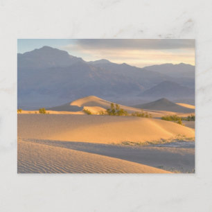 Postal Desert Dawn