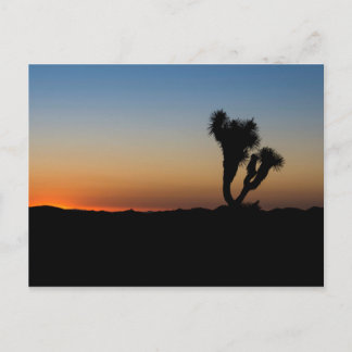 Postal Desert Sunrise