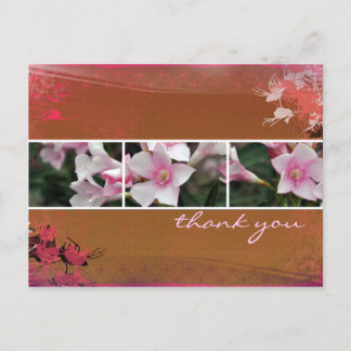 Postal DesertBotanicals Postcard - marrón