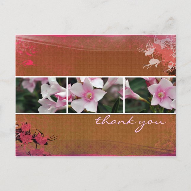 Postal DesertBotanicals Postcard - marrón (Anverso)