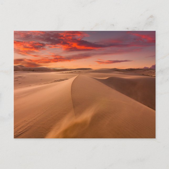 Postal Deserts | Desert United Arab Emirates (Anverso)