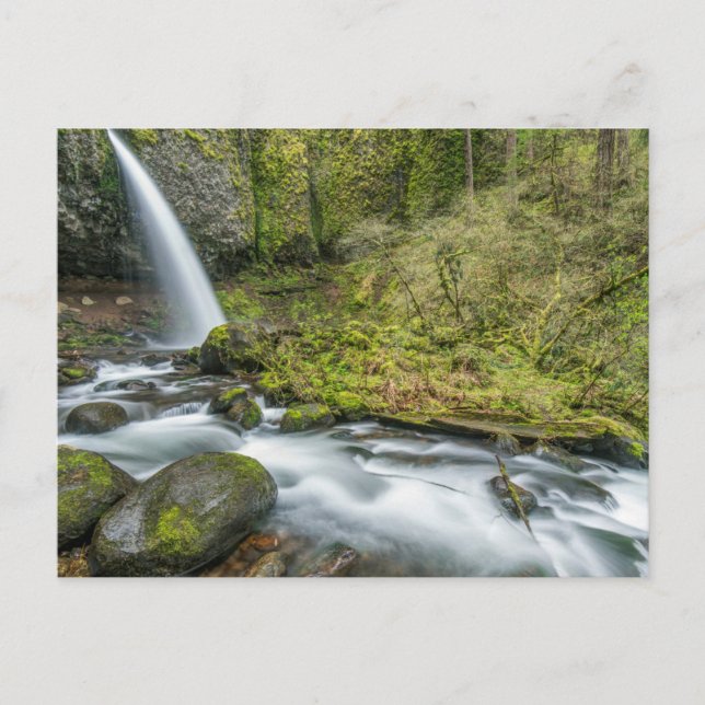 Postal Desfiladero del río Columbia, Ponytail Falls (Anverso)