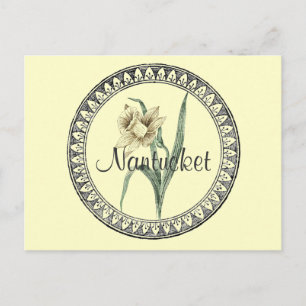 Postal Desfile de Nantucket Daffodil