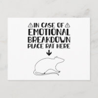Desglose emocional de la rata | Regalos de Mascota
