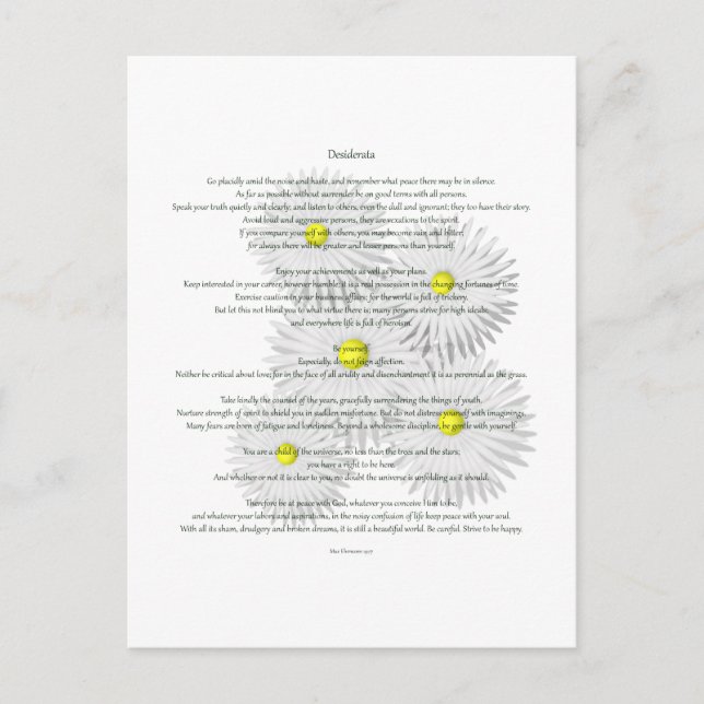 Postal Desiderata con daisies (Anverso)