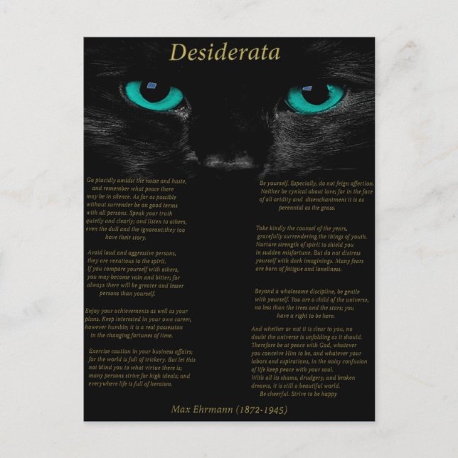 Postal Desiderata gato negro con sus ojos turquesa (Anverso)