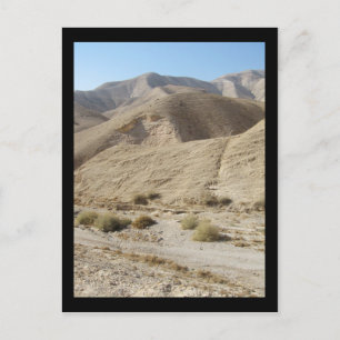 Postal Desierto