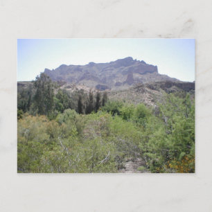 Postal Desierto de Arizona