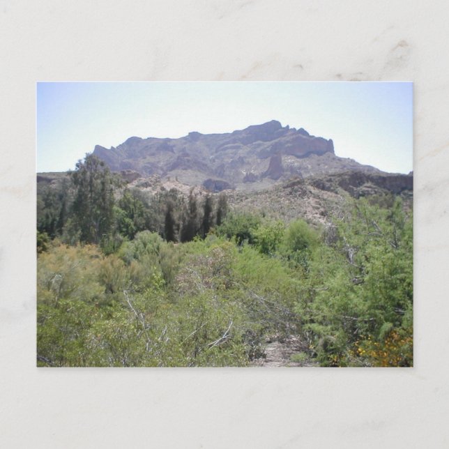 Postal Desierto de Arizona (Anverso)