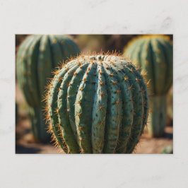 Postal Desierto de Cactus Hermoso