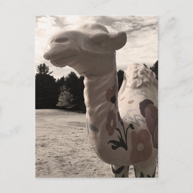 Postal desierto de maine (Anverso)