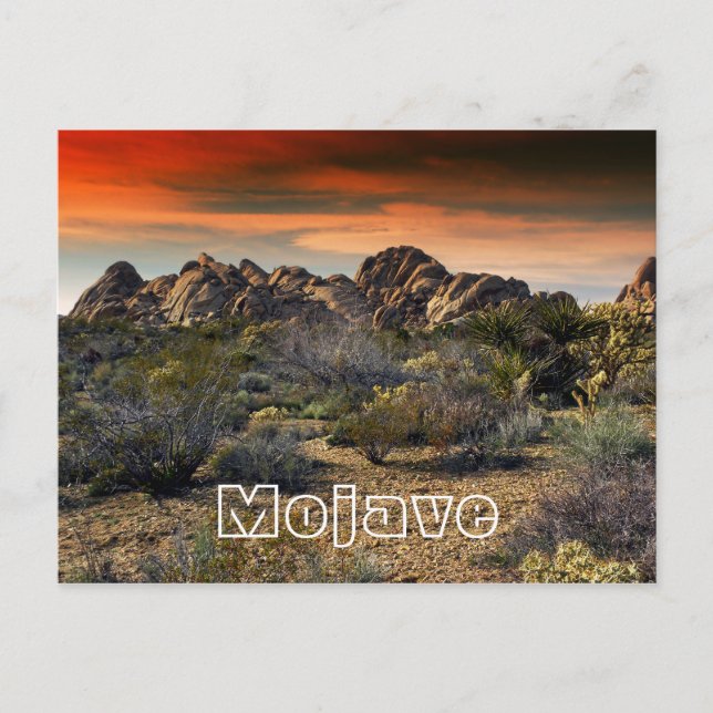 Postal Desierto de Mojave, California (Anverso)