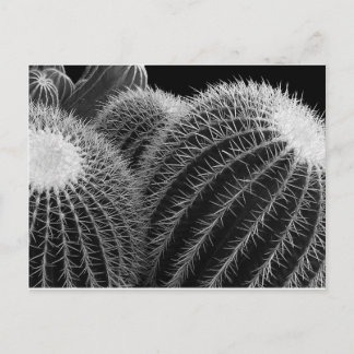 Postal Desierto Oscuro.