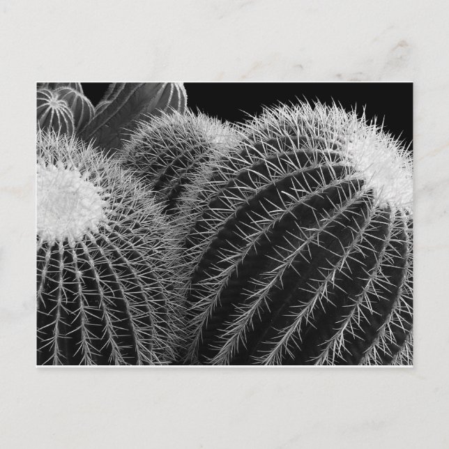 Postal Desierto Oscuro. (Anverso)