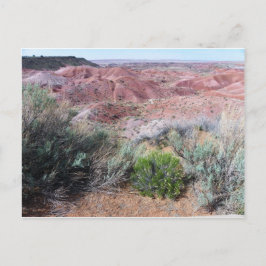 Postal Desierto pintado