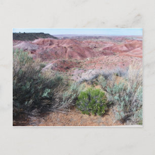 Postal Desierto pintado