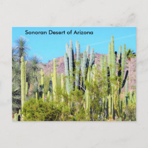 Postal Desierto sonoro de Arizona