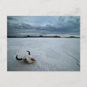 Postal Desiertos   Bonneville Salt Flats Utah