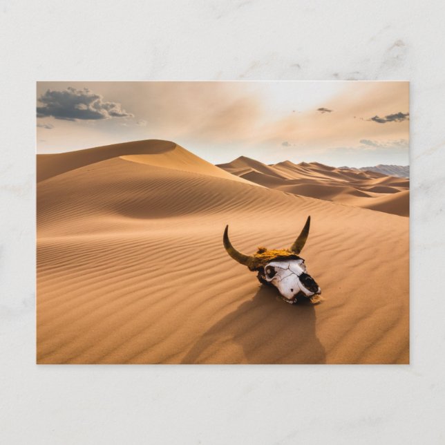 Postal Desiertos | Cráneo de vaca Dunas de arena ondulada (Anverso)
