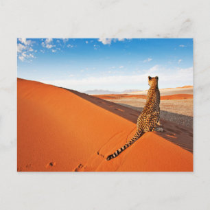 Postal Desiertos Desierto de Cheetah Savannah