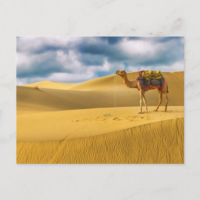 Postal Desiertos | Desierto de Thar Rajasthan India Camel (Anverso)