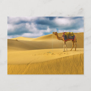 Postal Desiertos   Desierto de Thar Rajasthan India Camel