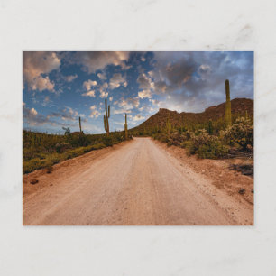 Postal Desiertos   Parque nacional Saguaro Arizona