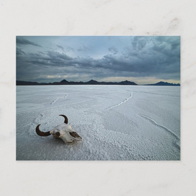 Postal Desiertos | Salinas de Bonneville Utah (Anverso)