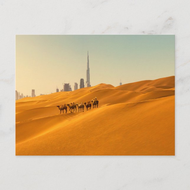 Postal Desiertos | Vista aérea de Dubai con camellos (Anverso)