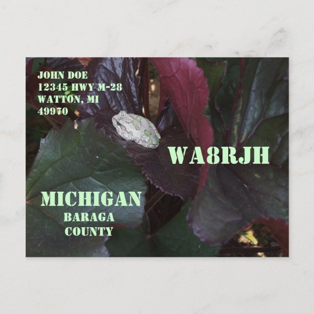 Postal Design Your Own QSL HAM Radio Operator Op Wildlife (Anverso)