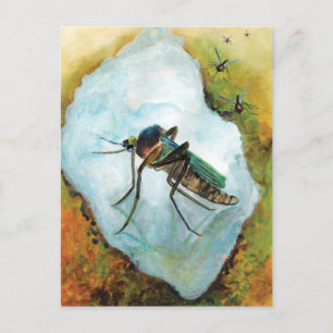 Postal Deslumbramiento veraniego de mosquitos molestos