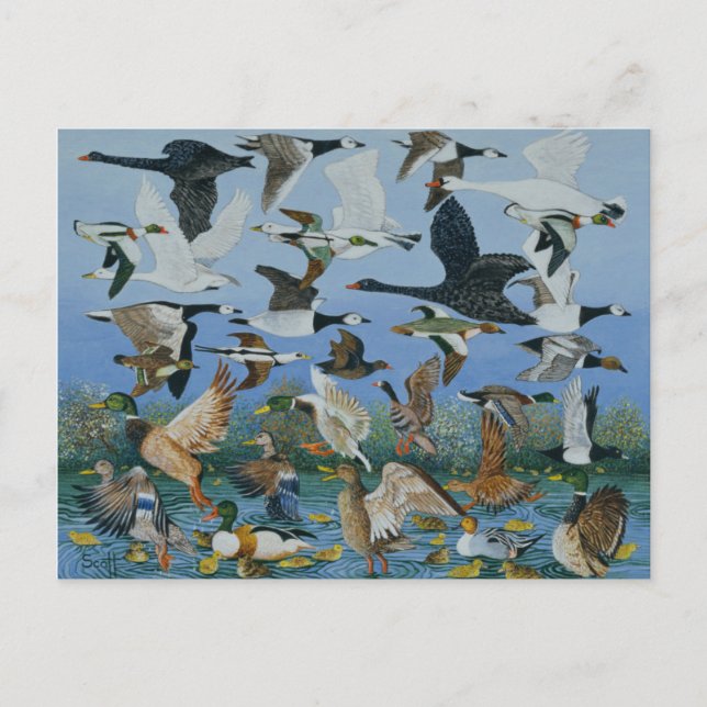 Postal Despegar 1996 (Anverso)