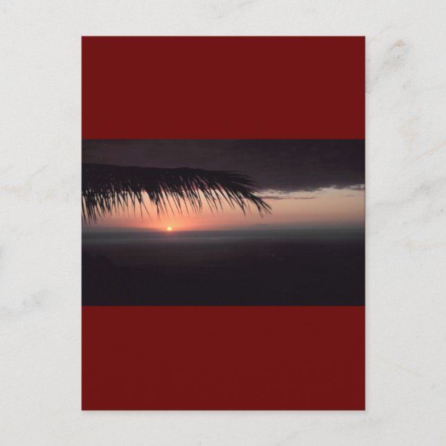 POSTAL DESPERTAR (Anverso)