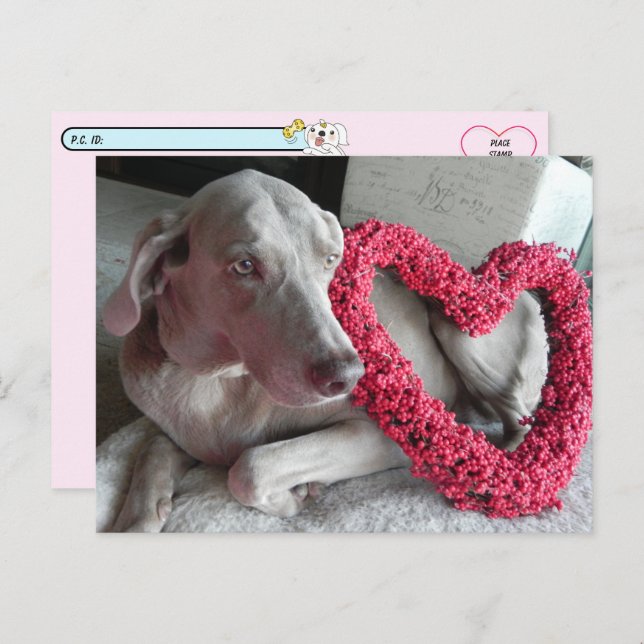 Postal Después de cruzar la lluvia el amor de los Wiemara (Anverso / Reverso)