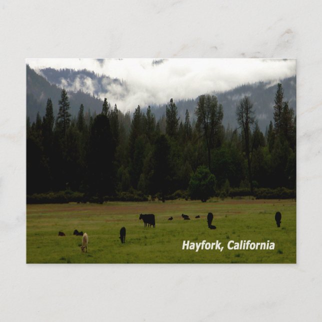 Postal Después de la lluvia....... (Anverso)