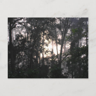 Postal Después de la tormenta - Postcard #2